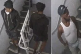 WANTED | Suspects in Theft from Auto