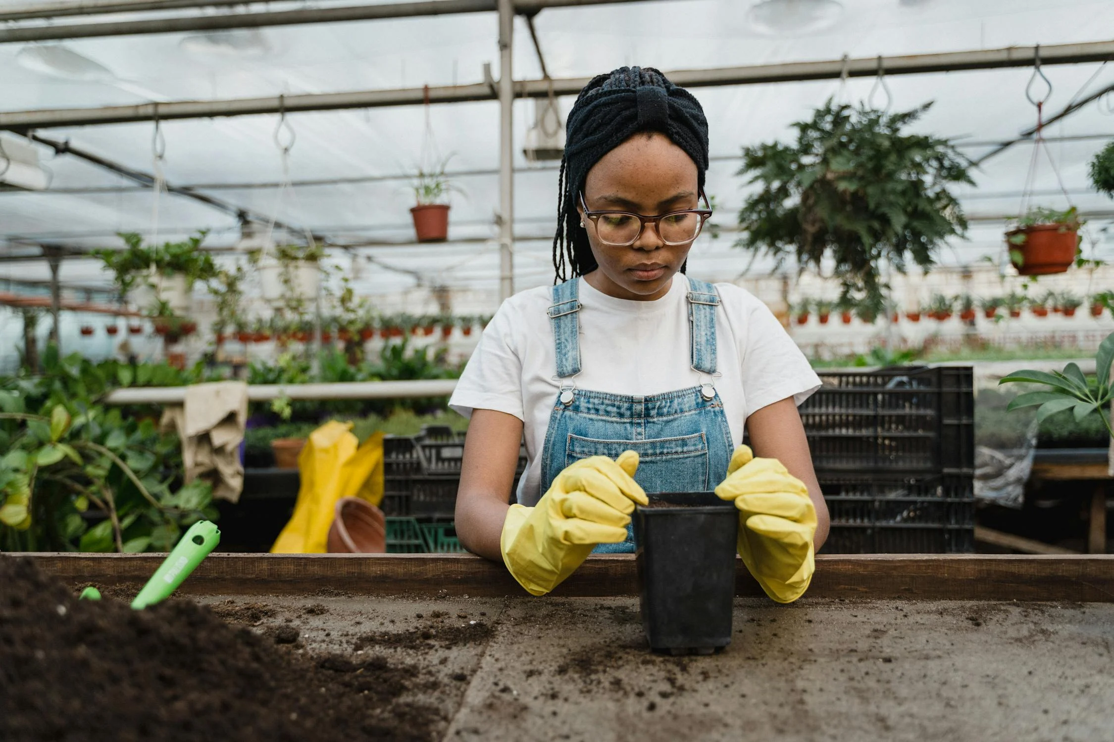 August 3 | Free Gardening Workshop