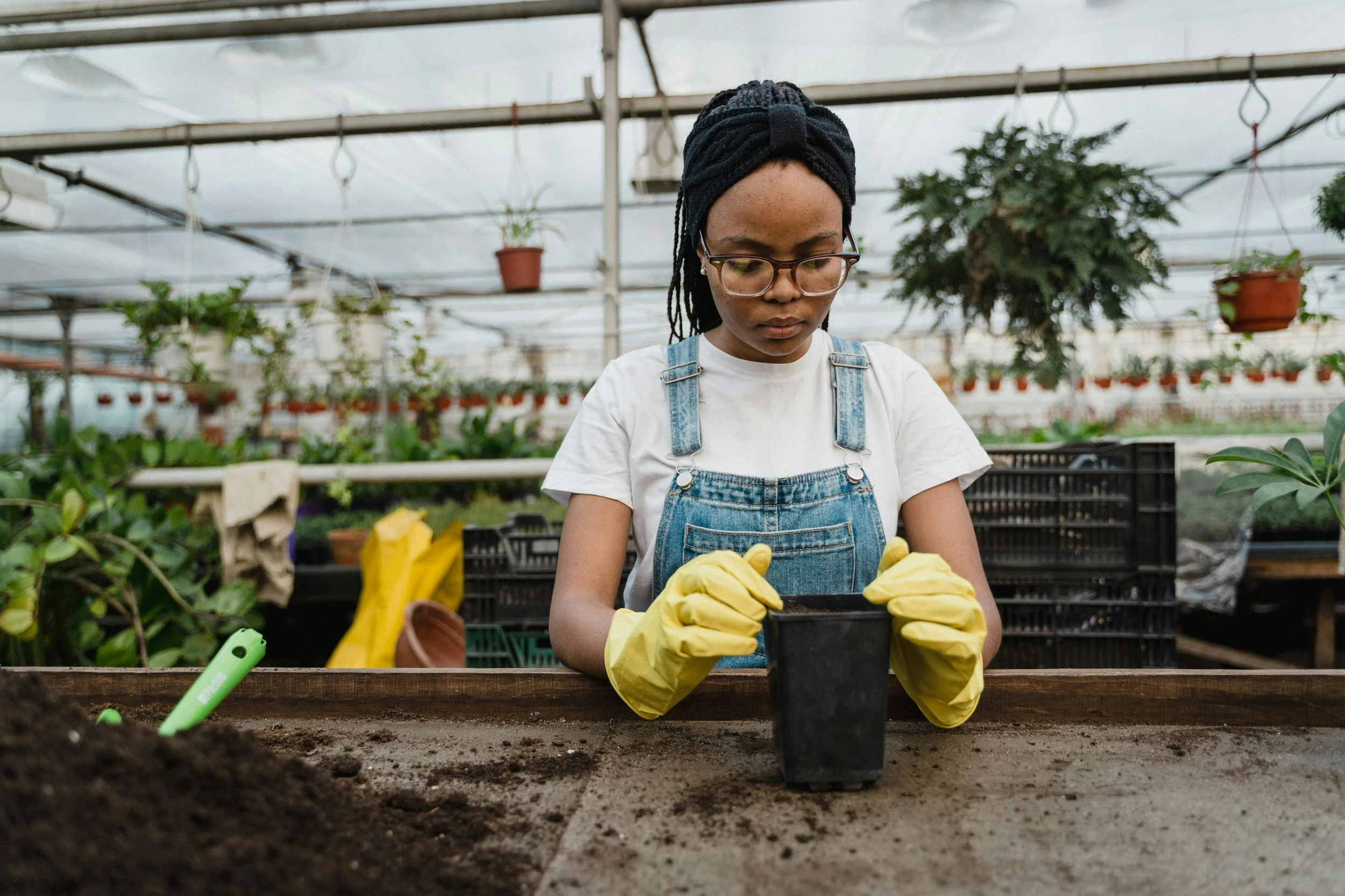 August 19 - 21 | Free Youth Gardening Classes at ACM