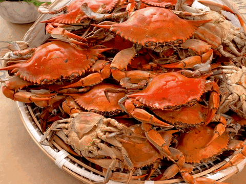 Oct 5 | All-You-Can-Eat Crab Fest Fundraiser for St. Teresa of Avila