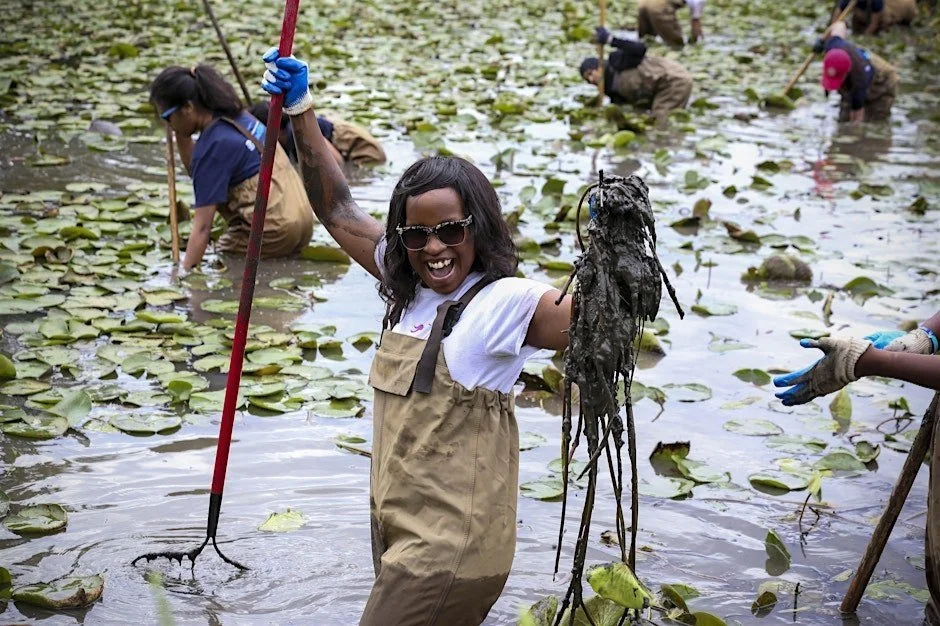 Oct 26 | Volunteer Event at Kenilworth Aquatic Gardens