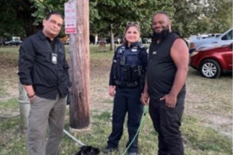 Puppy returned to owner after theft