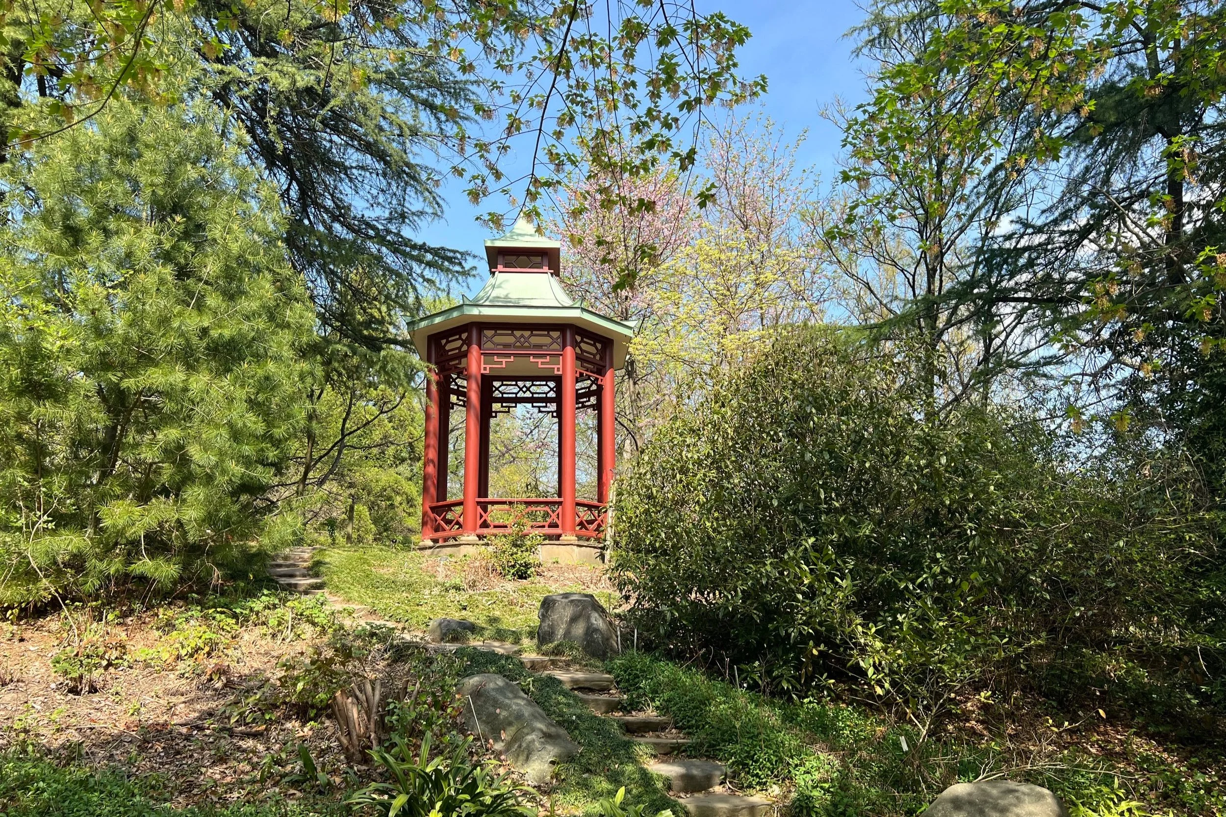 Healing Spaces | U.S. National Arboretum