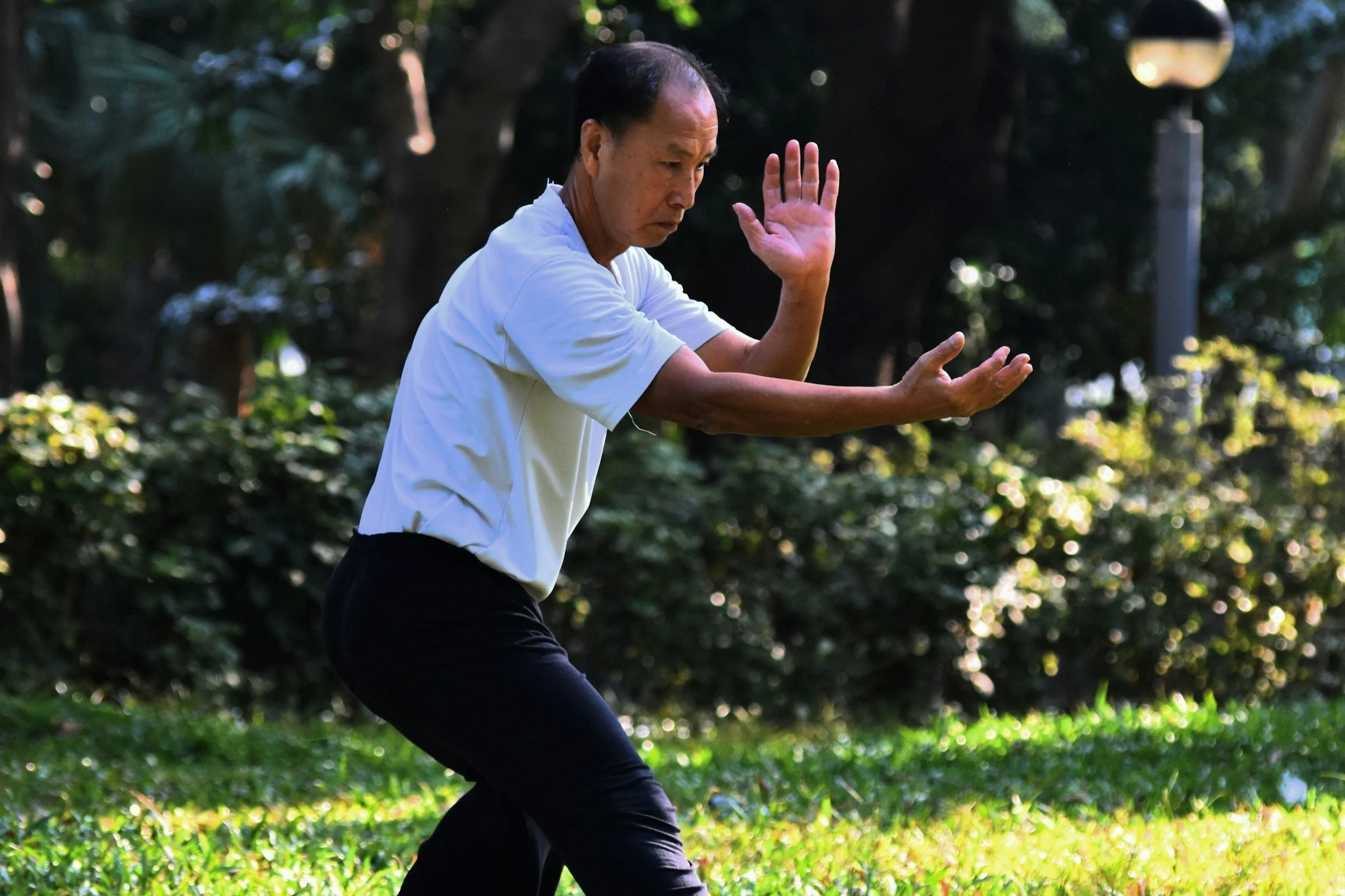 Wellness Classes | DPR Winter Class Registration Nov 6 + 7