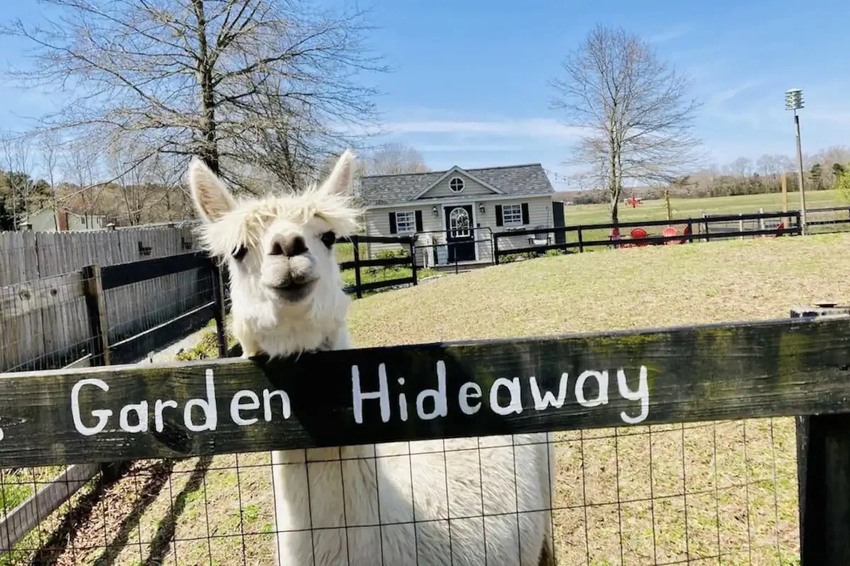 AirBnB Fave: Tiny House on Delaware Farm