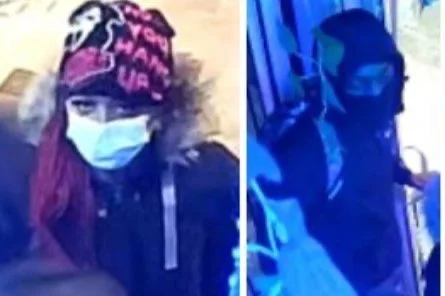 Wanted | Suspects in Southeast Burglary