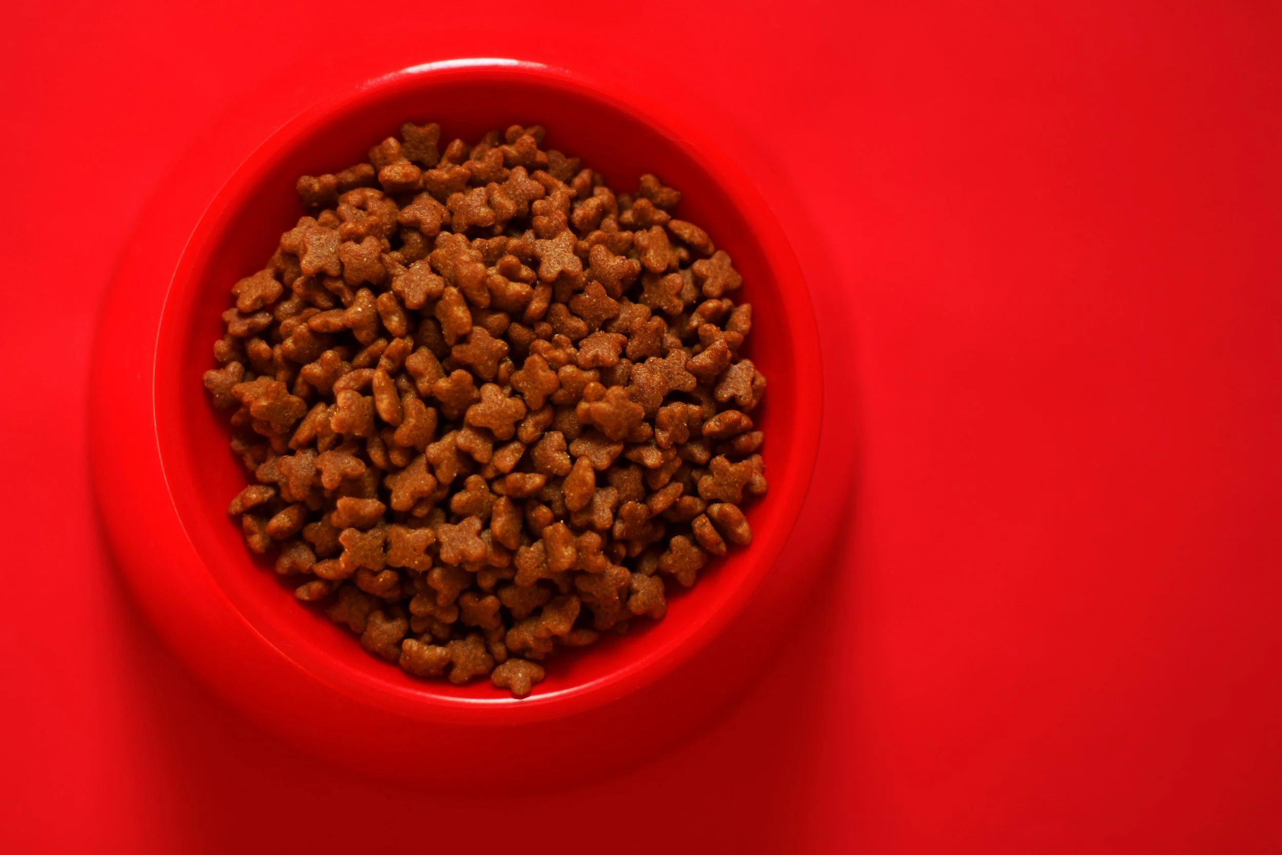 Humane Rescue Alliance Pet Pantry Holiday 