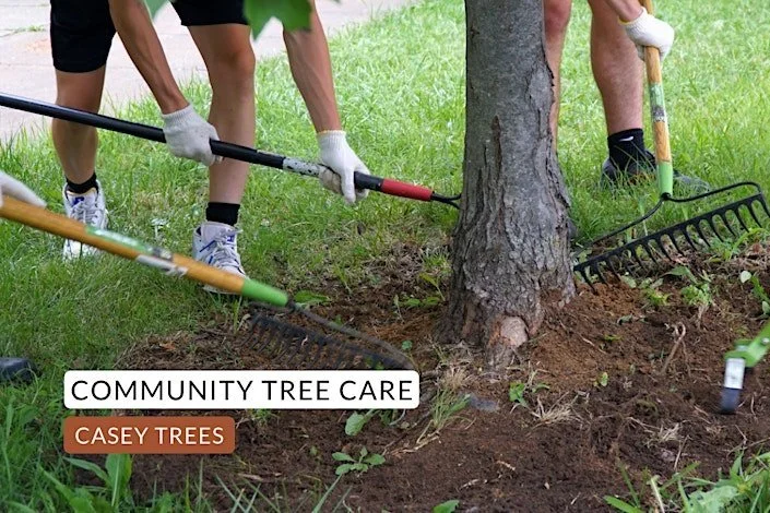 Jan 18 | MLK Day Community Tree Care in Anacostia Park