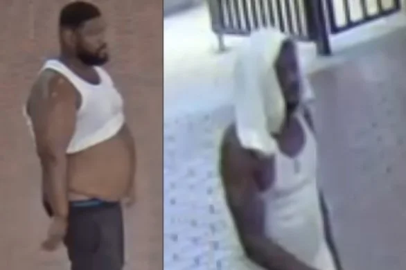 Wanted | Two Suspects Sought in Sheridan Road Armed Carjacking