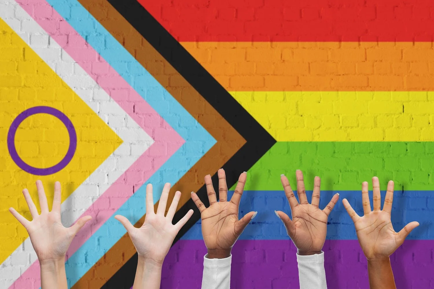 Trans Lifeline seeks Staff Hotline Operator -  $63,000/year