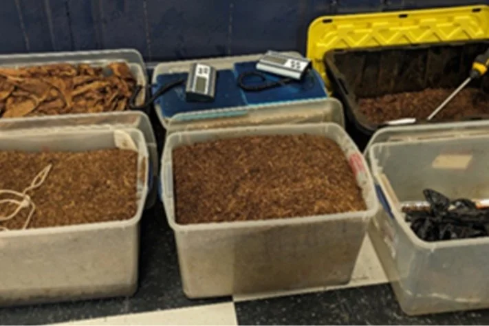  Tyrone Phillips Arrested, Recovery of Synthetic Marijuana and Three Weapons