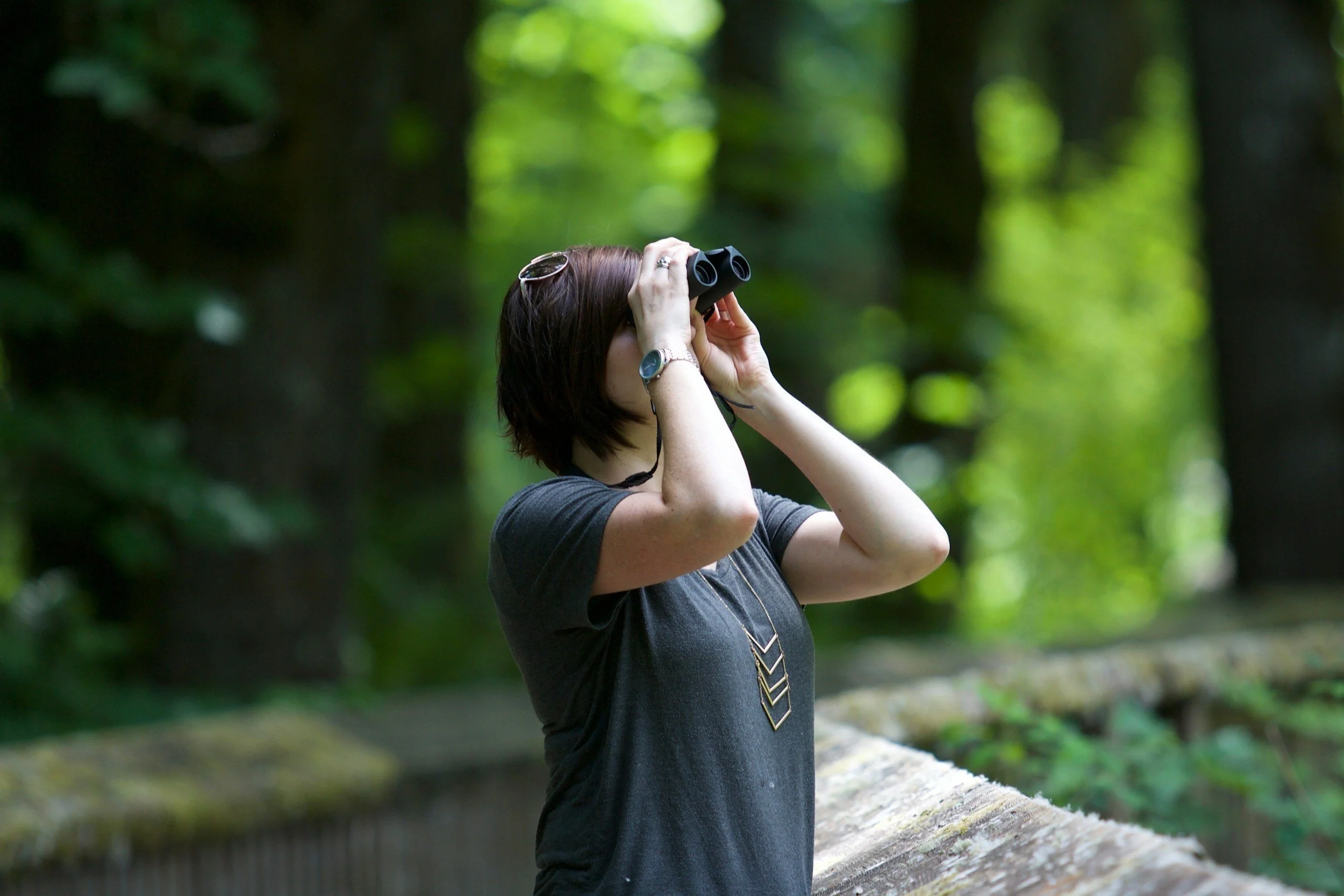 June 4 | Anacostia Park Bird Walk 