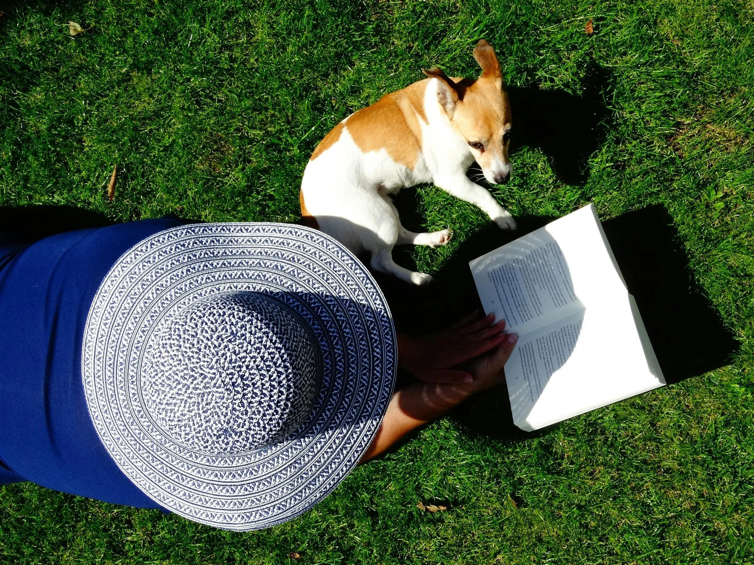 July 9 | Sundeck Summer Reads at The Yards 