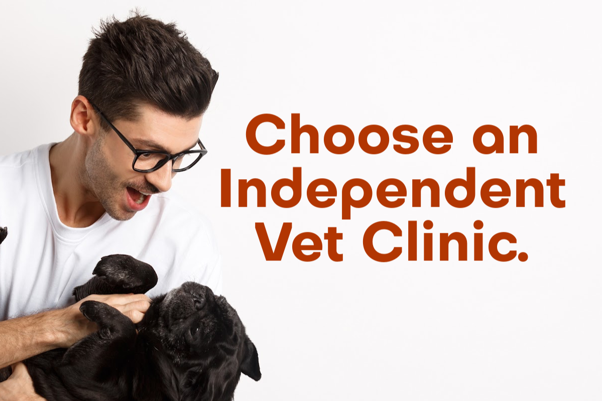 🌟 Most DC Vet Clinics Are Owned By Corporations and Private-Equity Firms