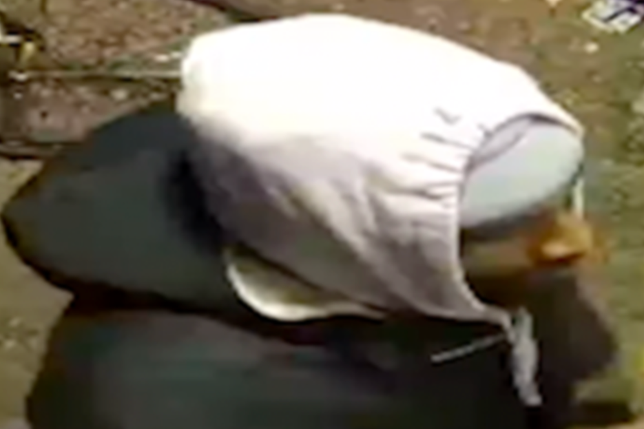 Wanted Video | Suspects in Northwest Robbery