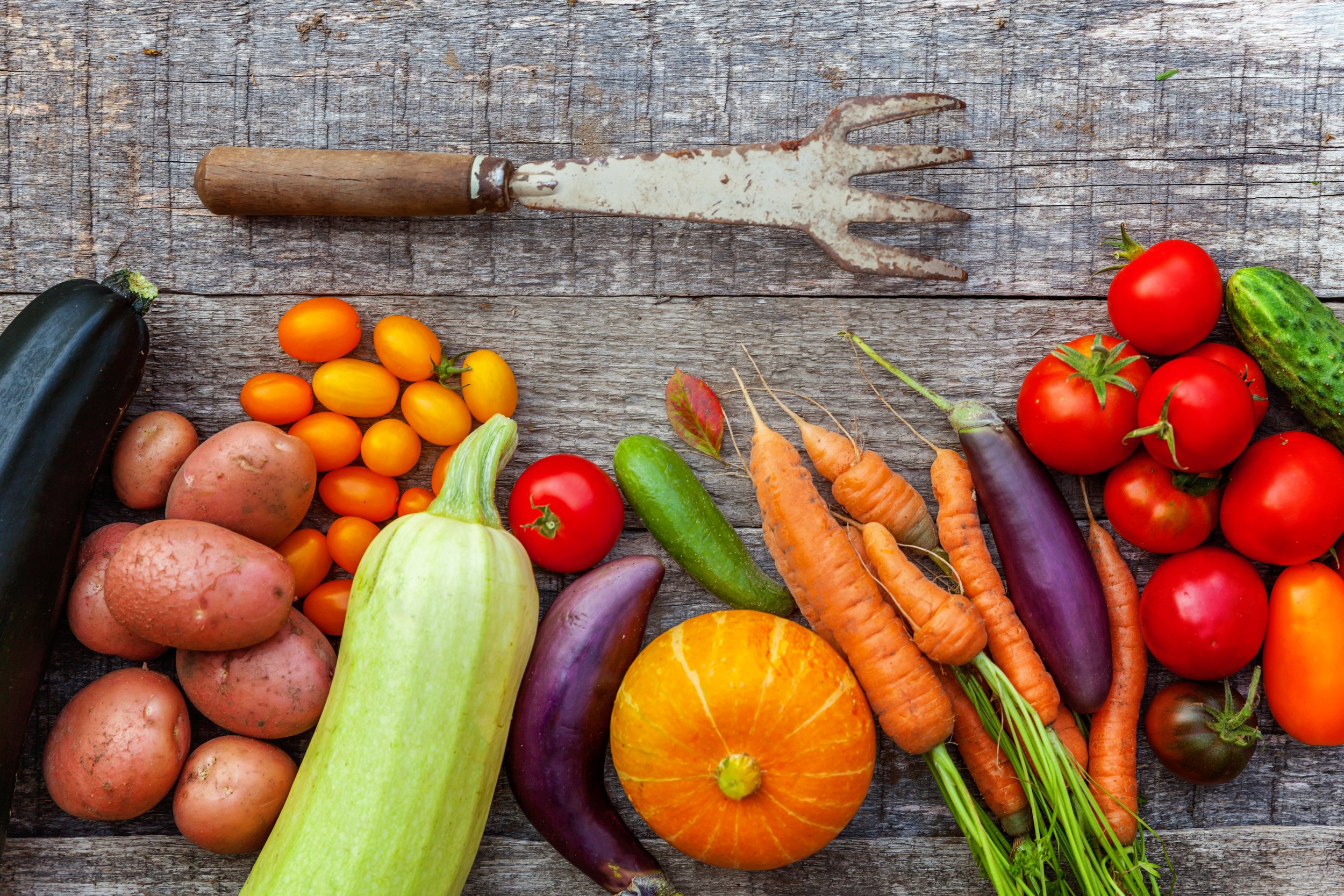 Jan 17 | Tour + Taste at Anacostia High School