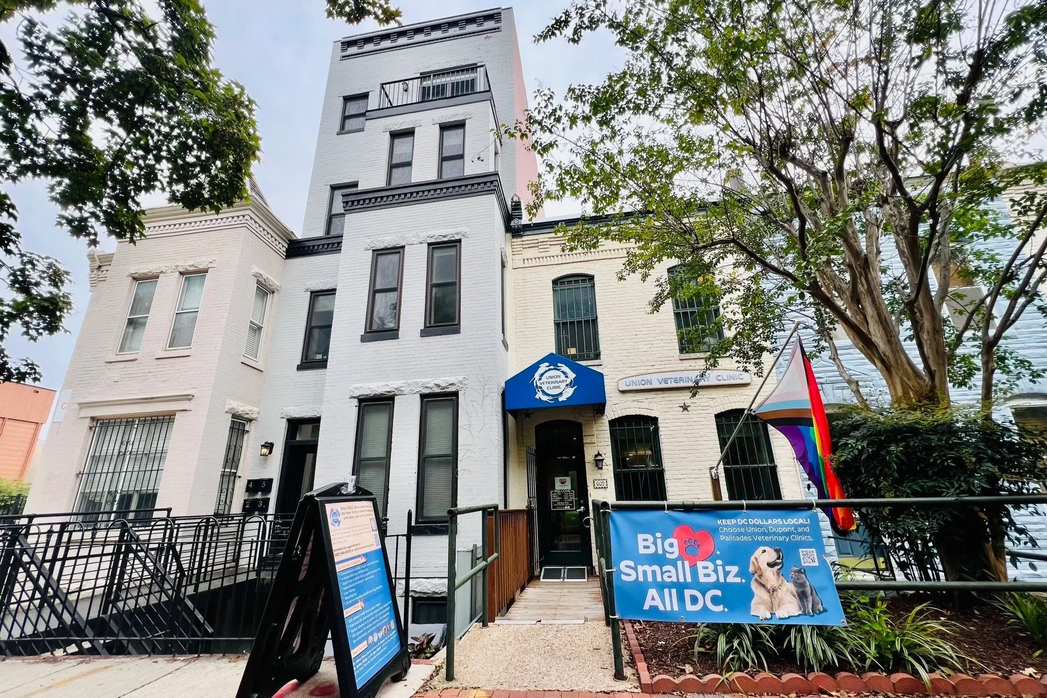 🌟 Why Choosing an Independent, Family-Owned Vet Matters in DC 