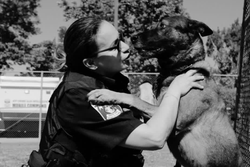 In Memoriam: Honoring Retired MPD EOD Canine Tiger