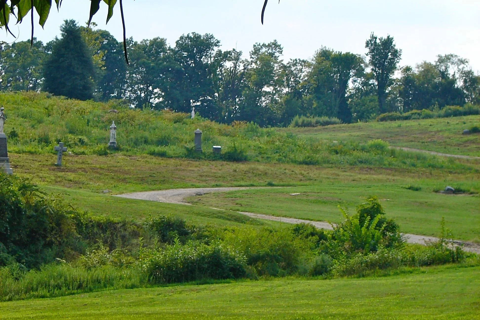 $250,000 in Grants Awarded to Protect and Preserve Historic Black Cemeteries