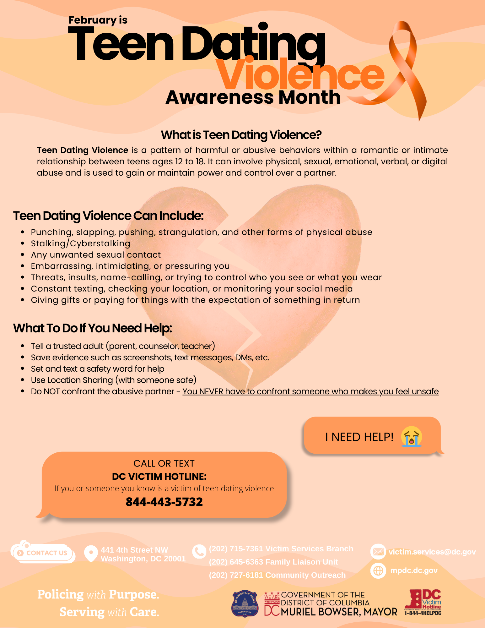 TDVAM Flyer.png
