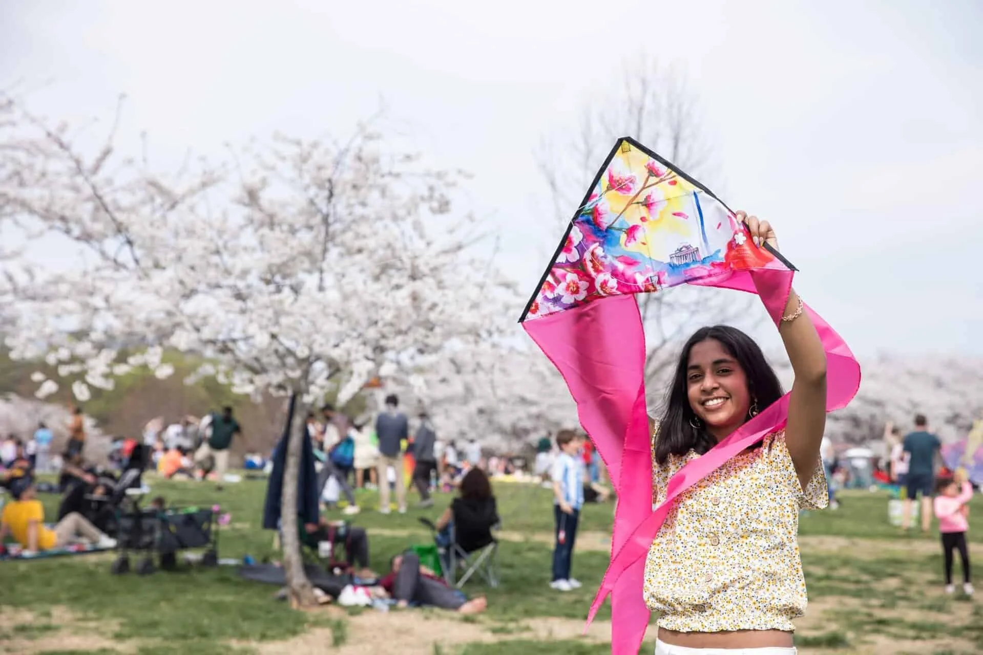 March 20 - April 12 | National Cherry Blossom Festival Events