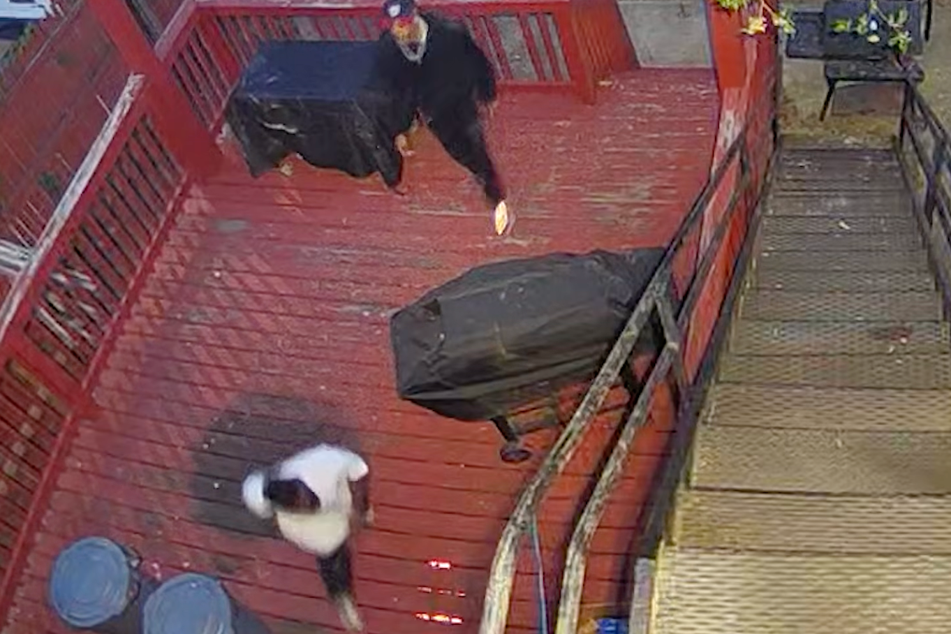 Wanted Video | Suspects in Congress Heights Burglary