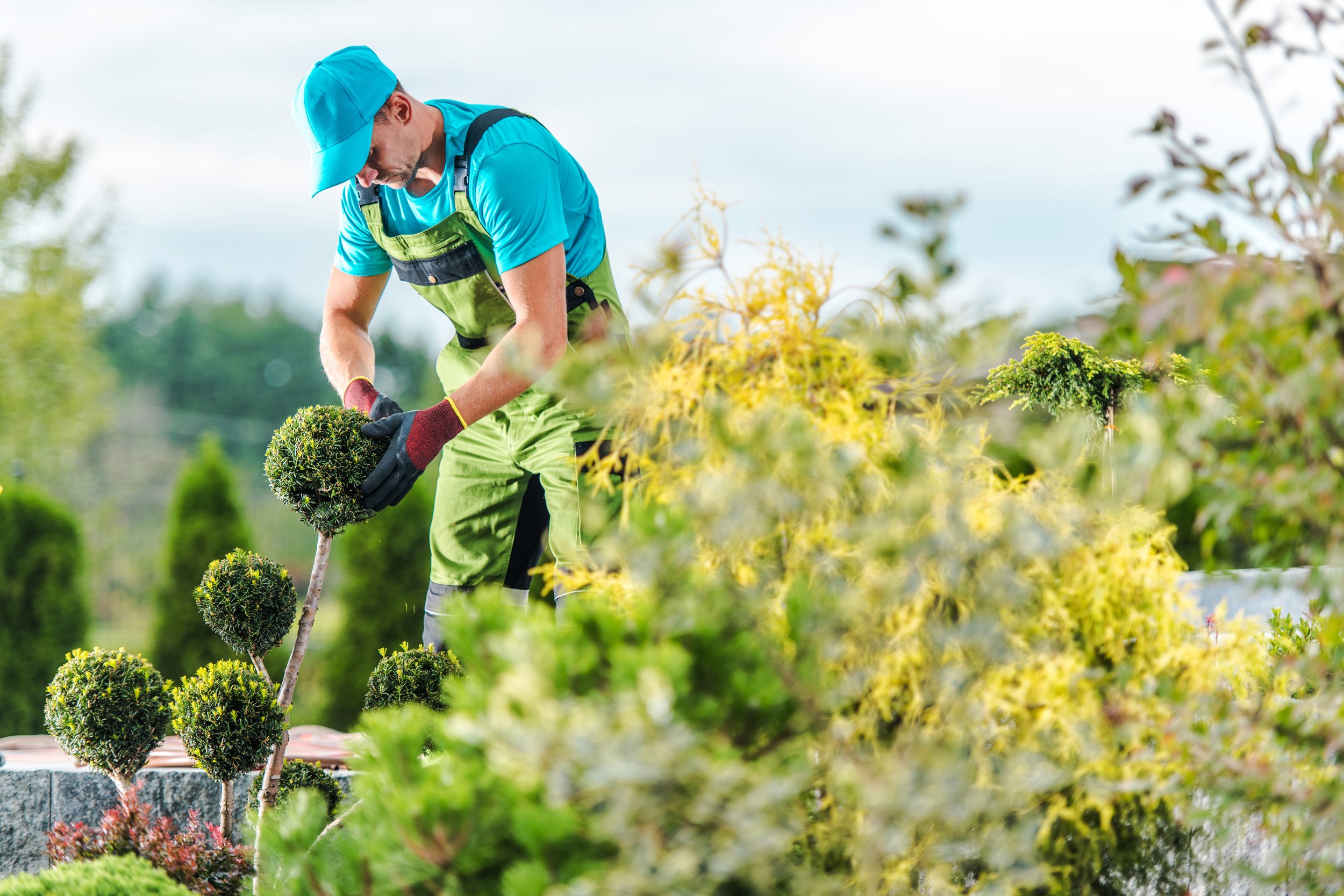 Protect Your Community While Training the Next Generation of Arborists