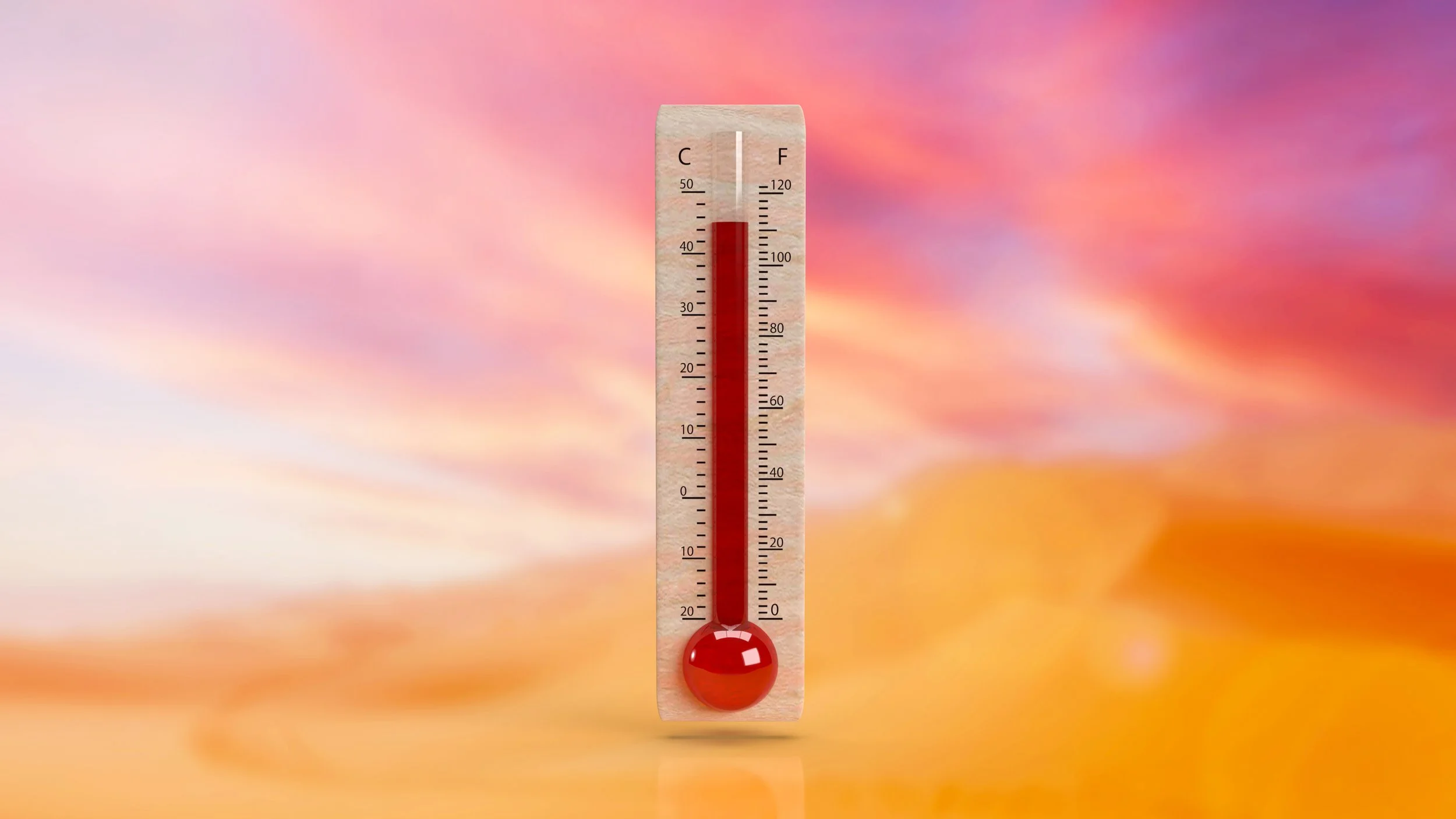 Another Scorcher in DC: Temps Near 100°