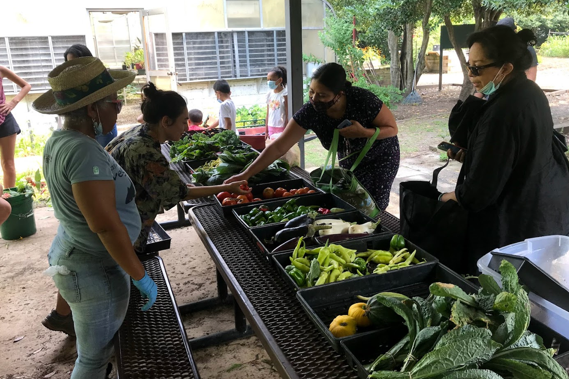 Free Fresh Produce Available Across DC Through November
