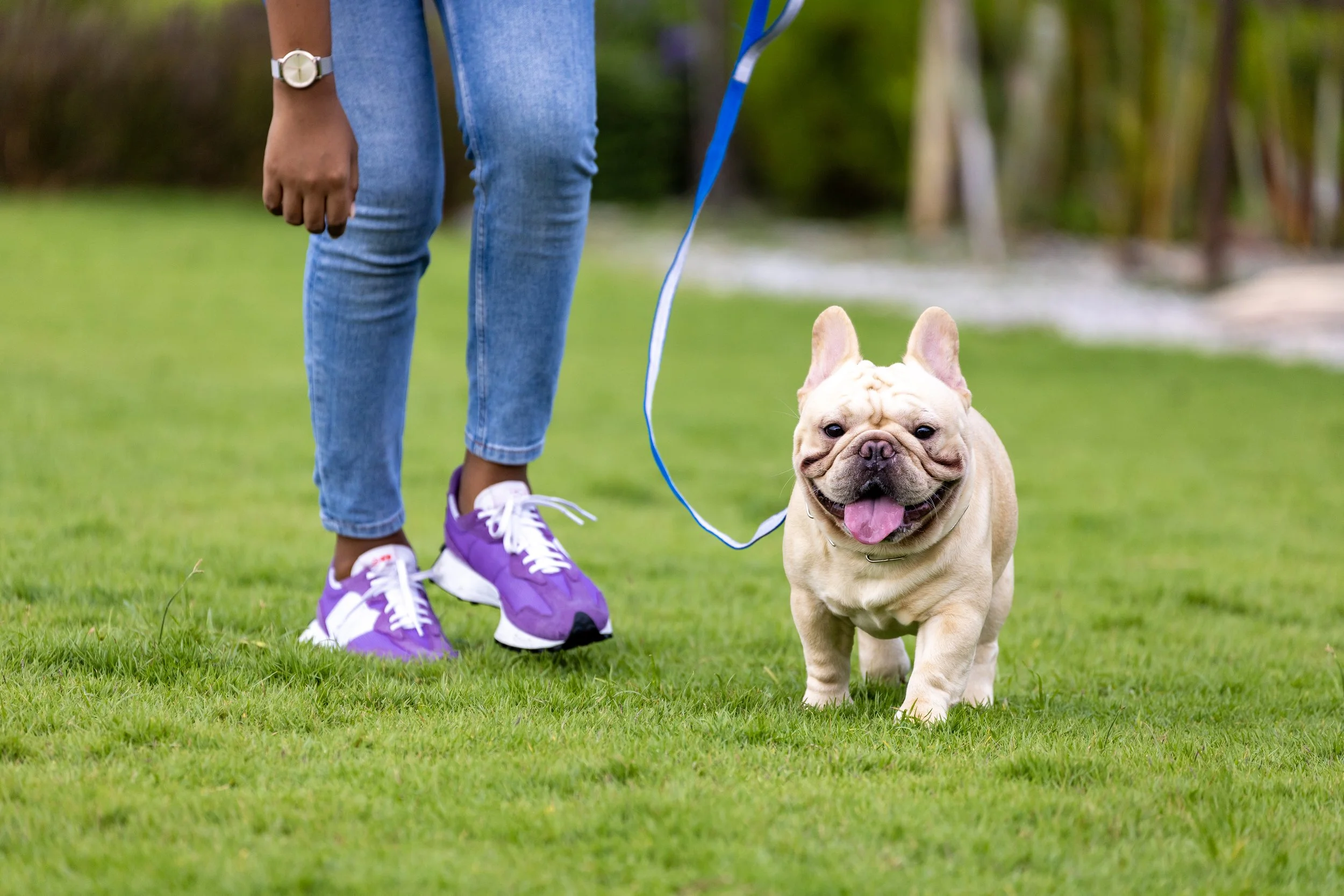 June 13 | Dog Lovers Invited to Explore Anacostia Park