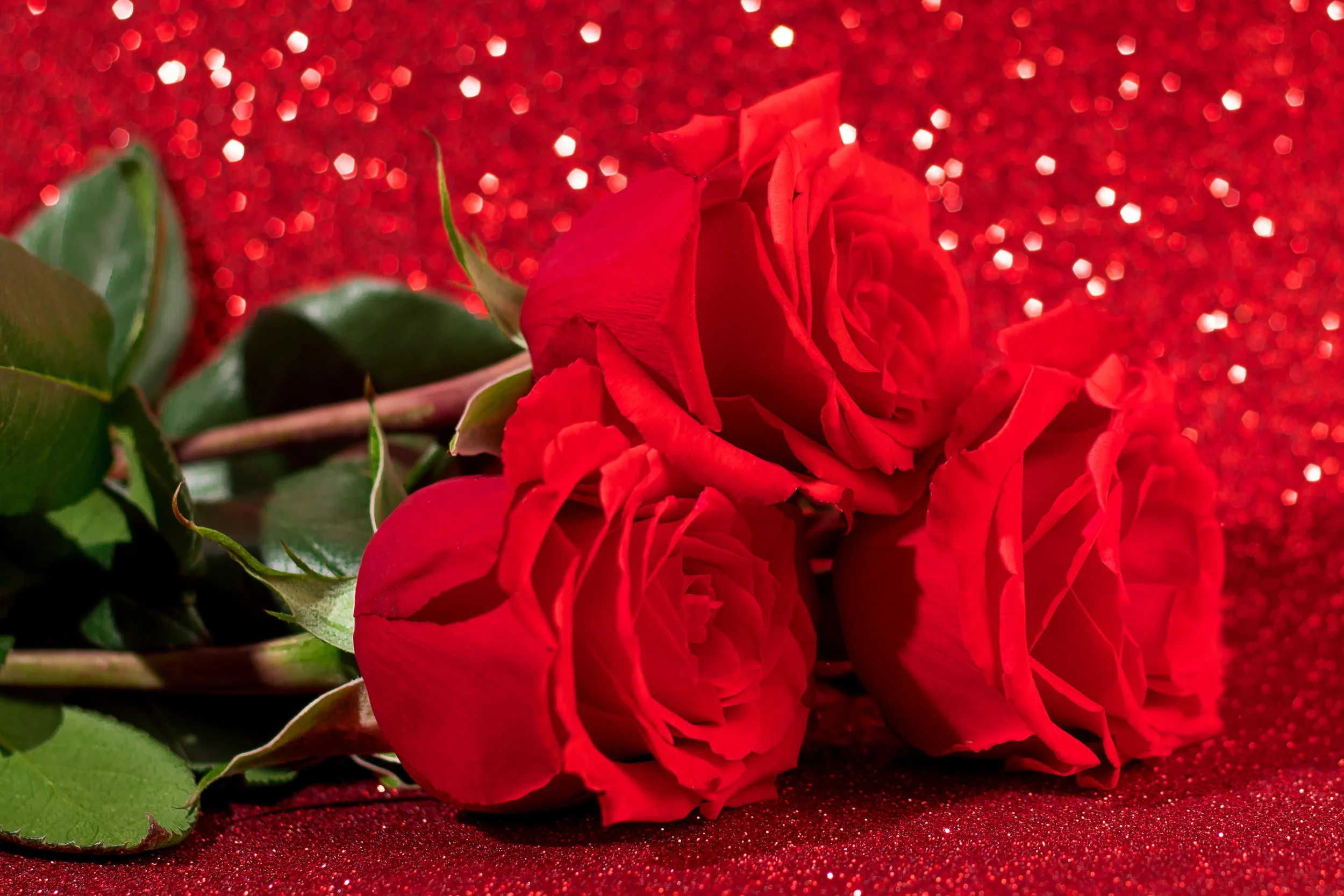 June 24 | Love In DC Brings Poetry, Connection, and Atmosphere to the Go-Go Museum