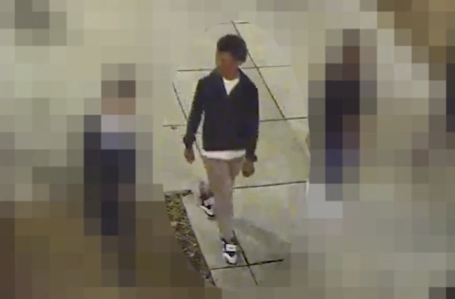 Wanted Video | Suspects in Southeast Robbery