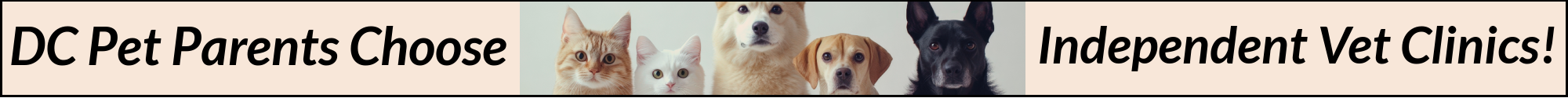 CHOTR Indie Vet Ads 2000 x 125.png