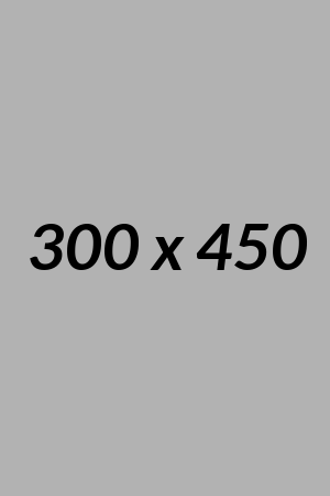 Blank+300+x+450.png.webp