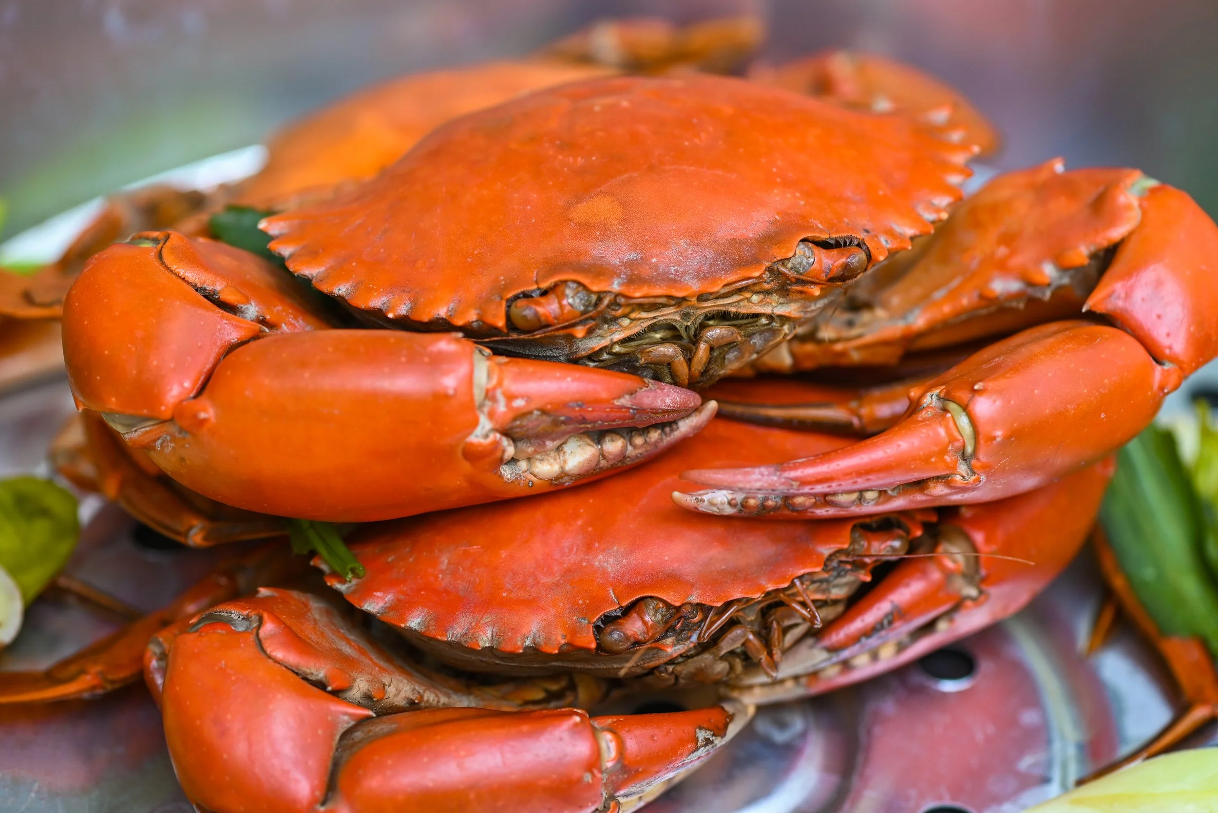 Oct 3 | Anacostia Crab Feast Brings Live GoGo, R+B and Steamed Crabs