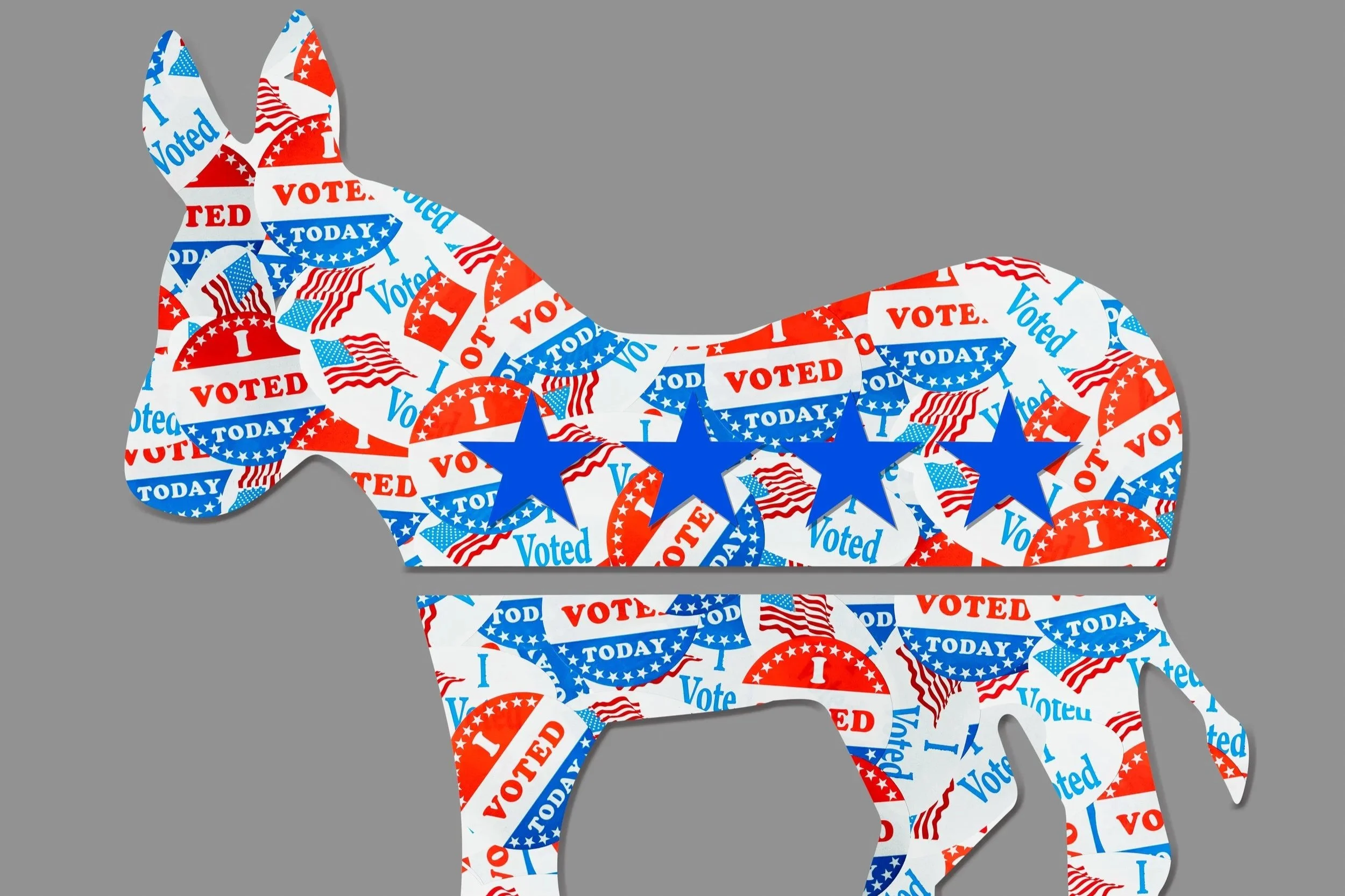 DC Democrats Announce Election Protection Volunteer Training Ahead of November Election