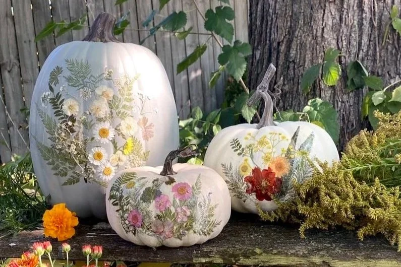 Oct 24 | Pumpkins, Paint &amp; Family Fun: Project Create Hosts Fall Art Day