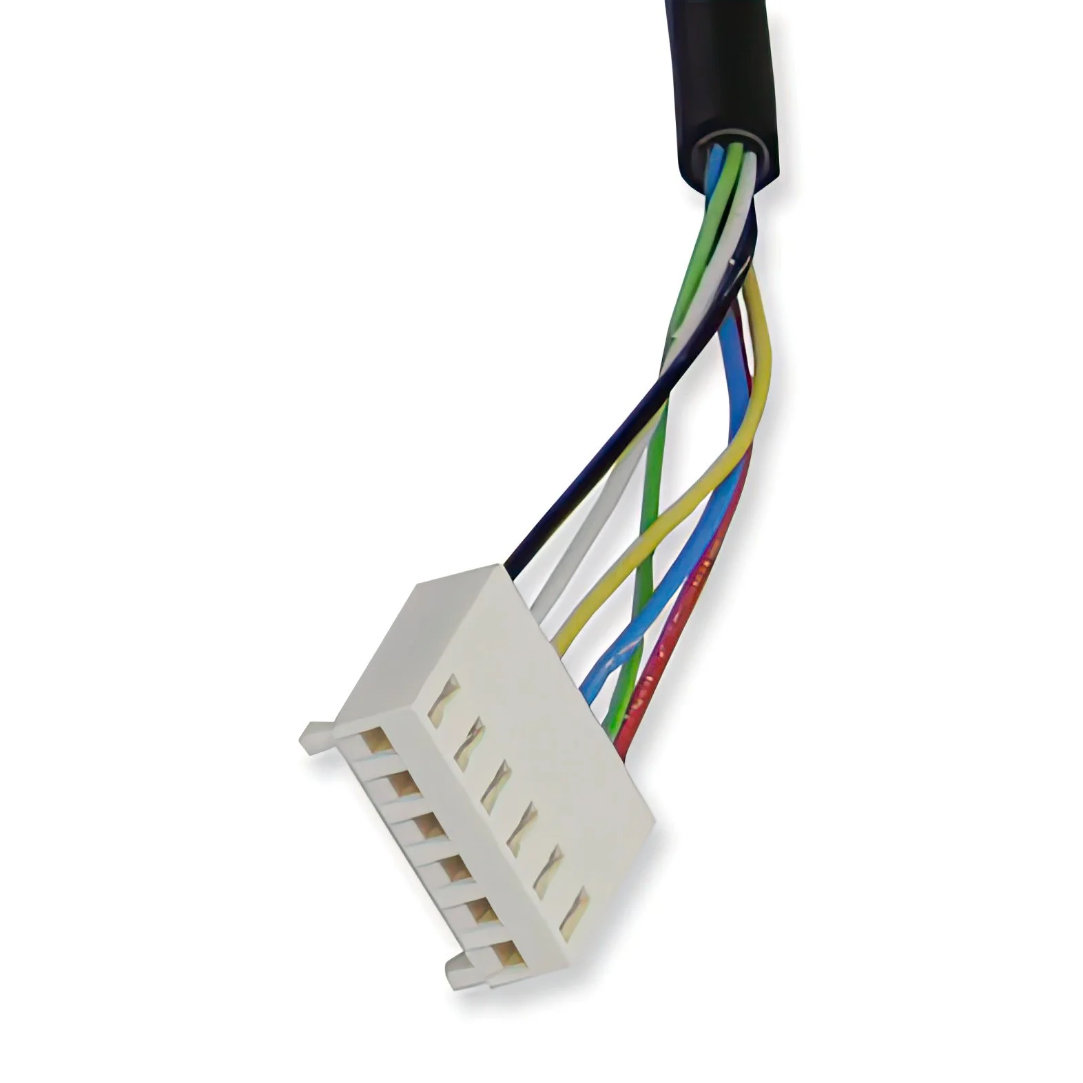 curlycord-conector1psd_UP.jpg