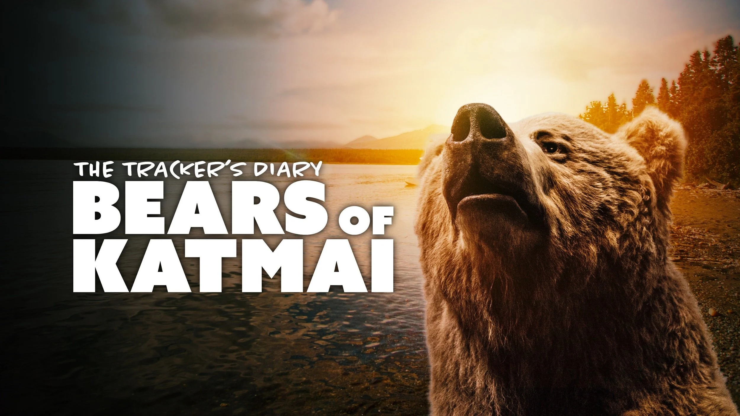 Bears of Katmai_widescreen.jpeg