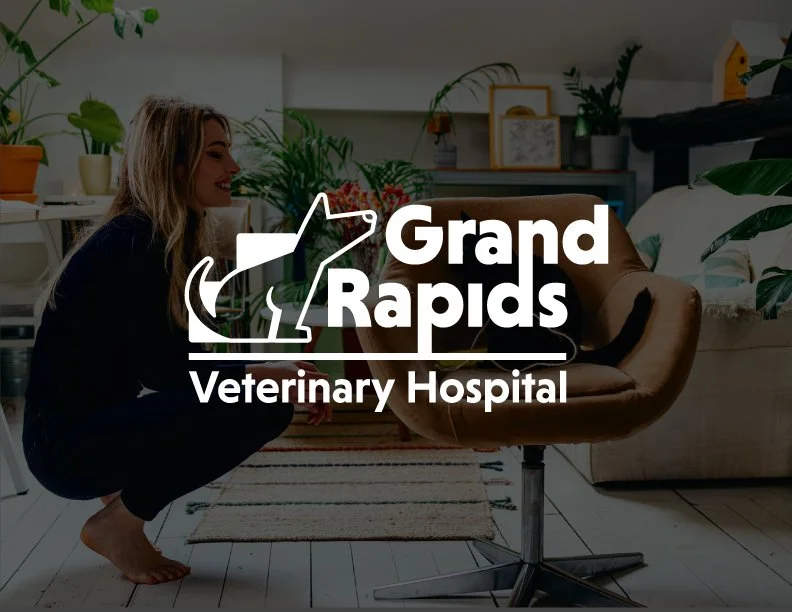 Indoor scene at Grand Rapids Veterinary Hospital with a woman squatting next to a brown office chair, surrounded by houseplants and home decor.
