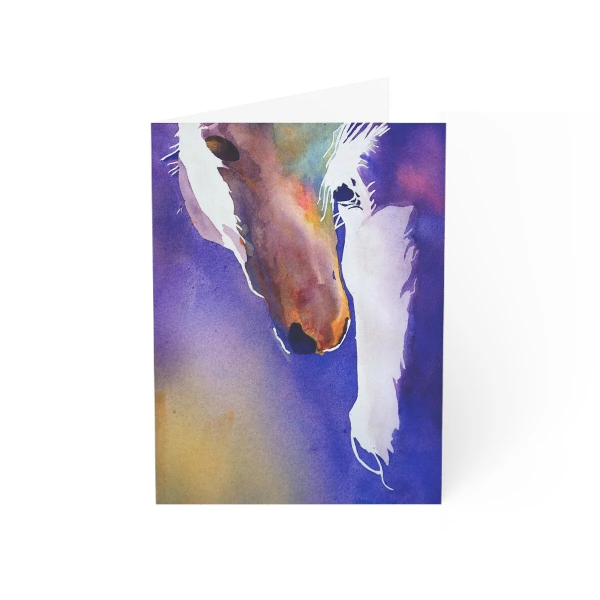 21fb4e489c7c3a6c1e1a9c54350500d2