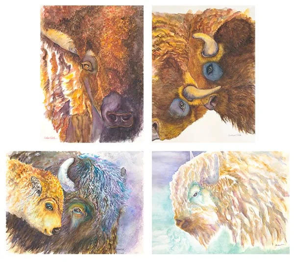 buffalo-series-I-notes.jpg