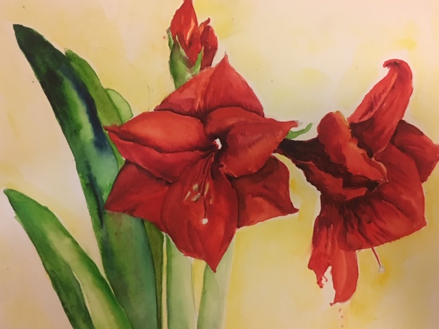 Red Amaryllis.jpg