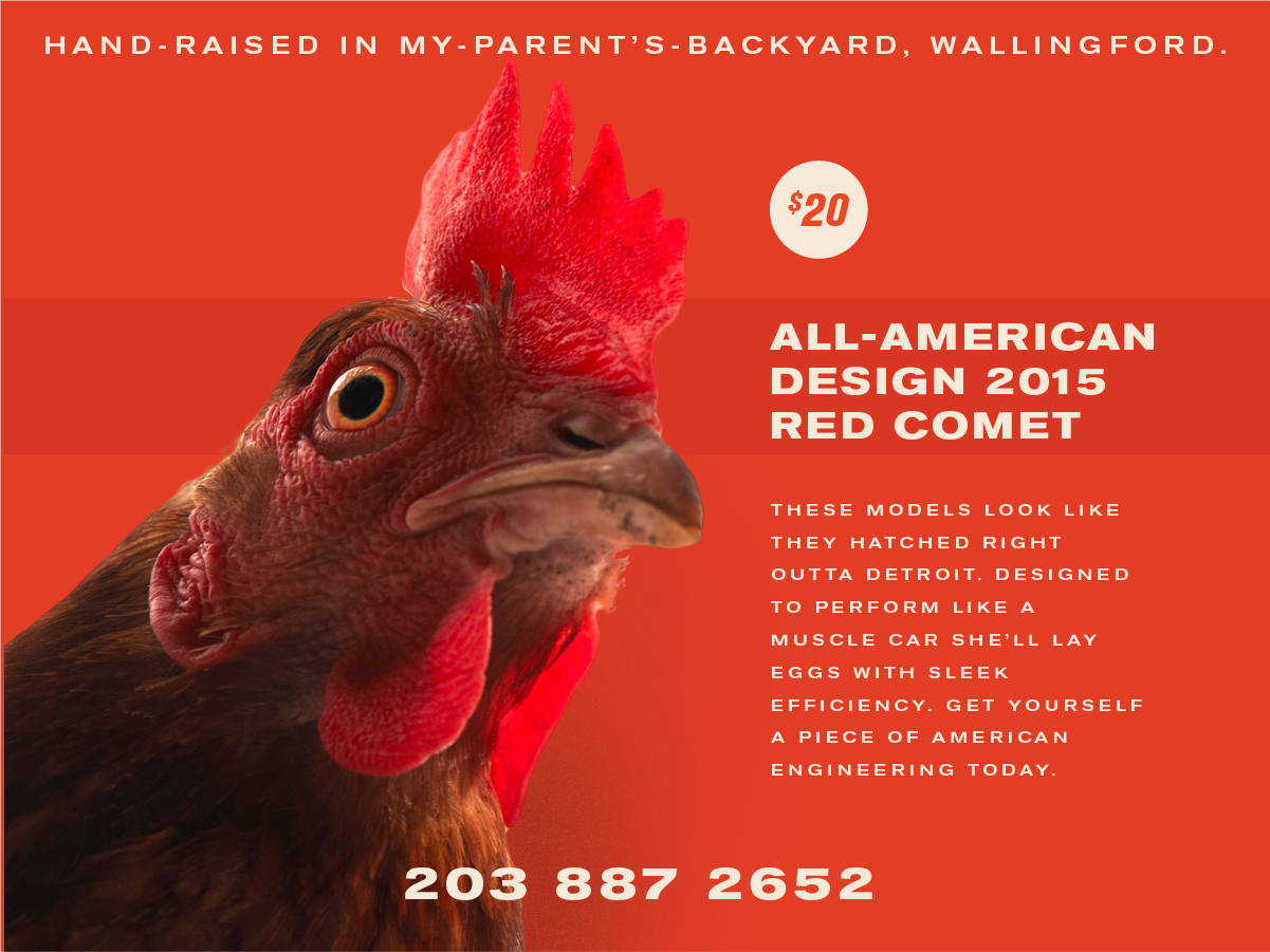 12 chickensforsale!!!-04.png