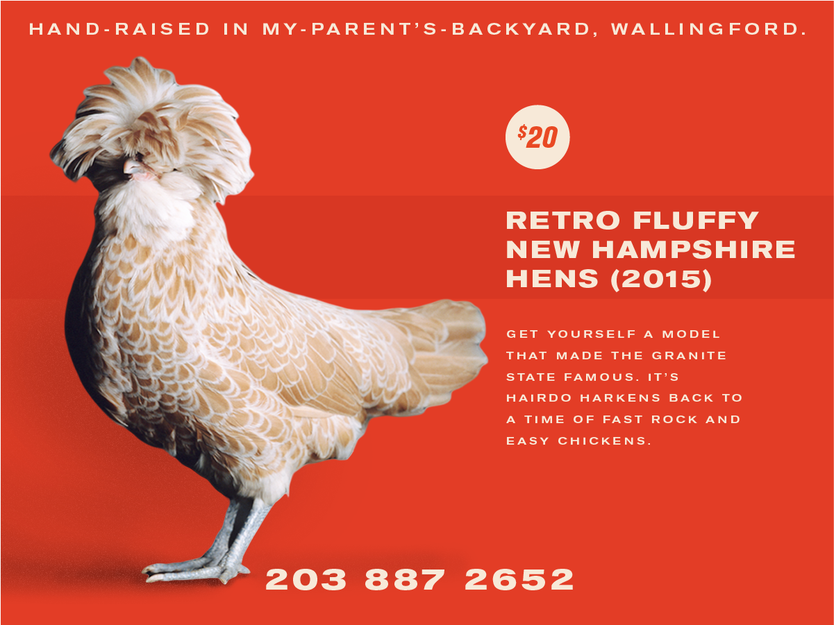 13 chickensforsale!!!-05.png