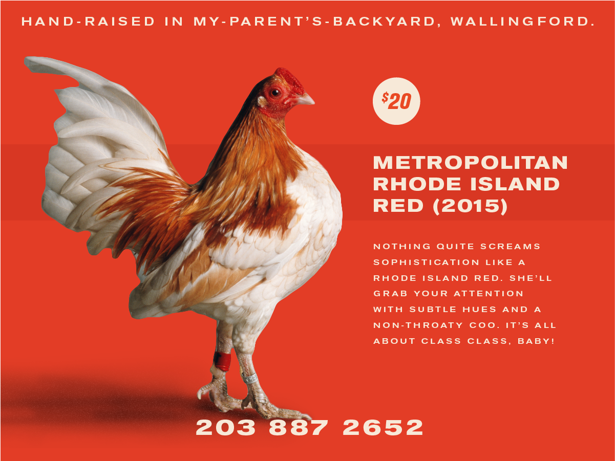 14 chickensforsale!!!-06 (1).png