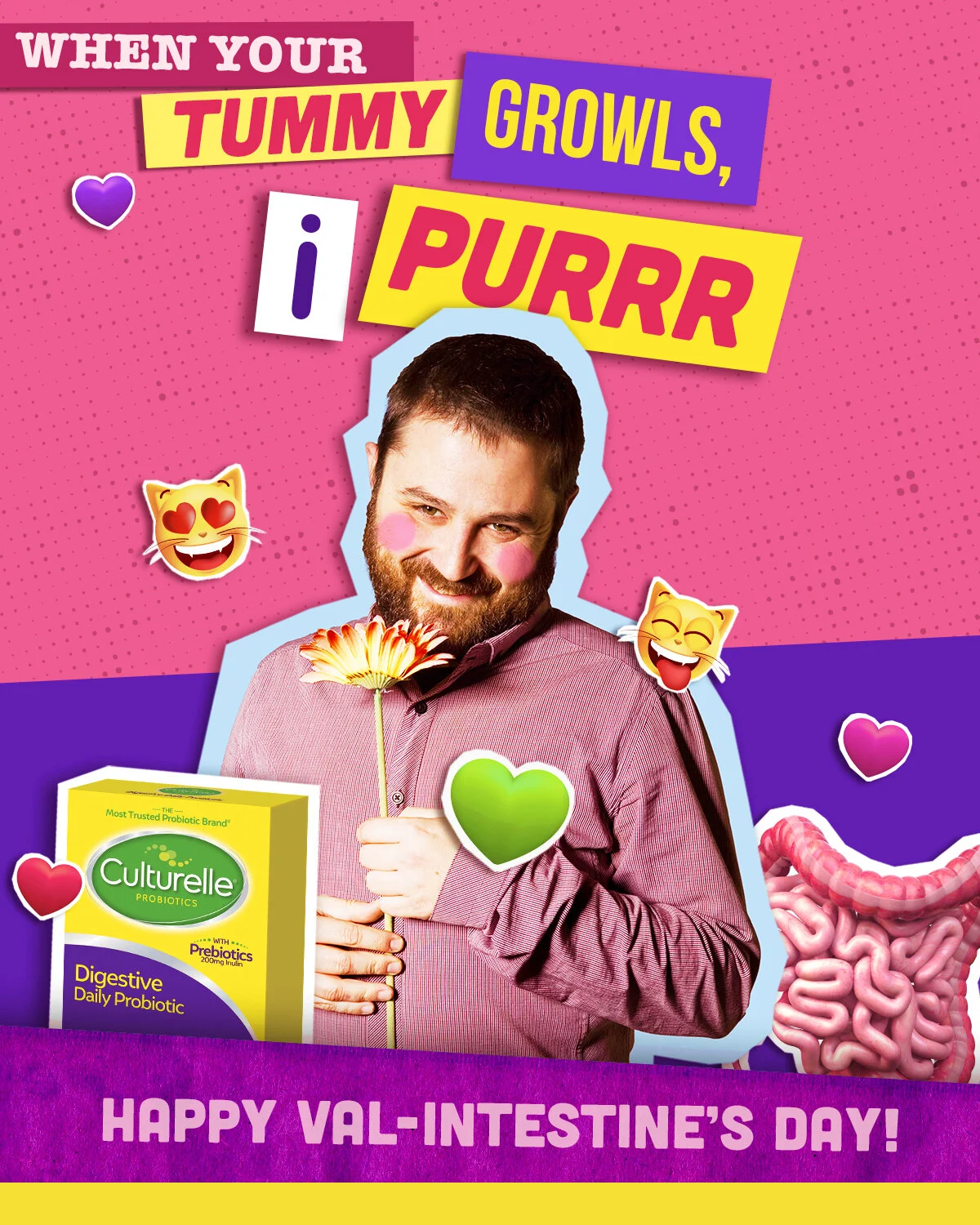 purr_front.jpg