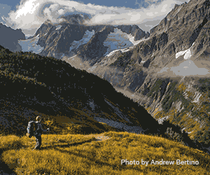 WTA-DigitalAd-300x250-BodyC-r101 copy.gif