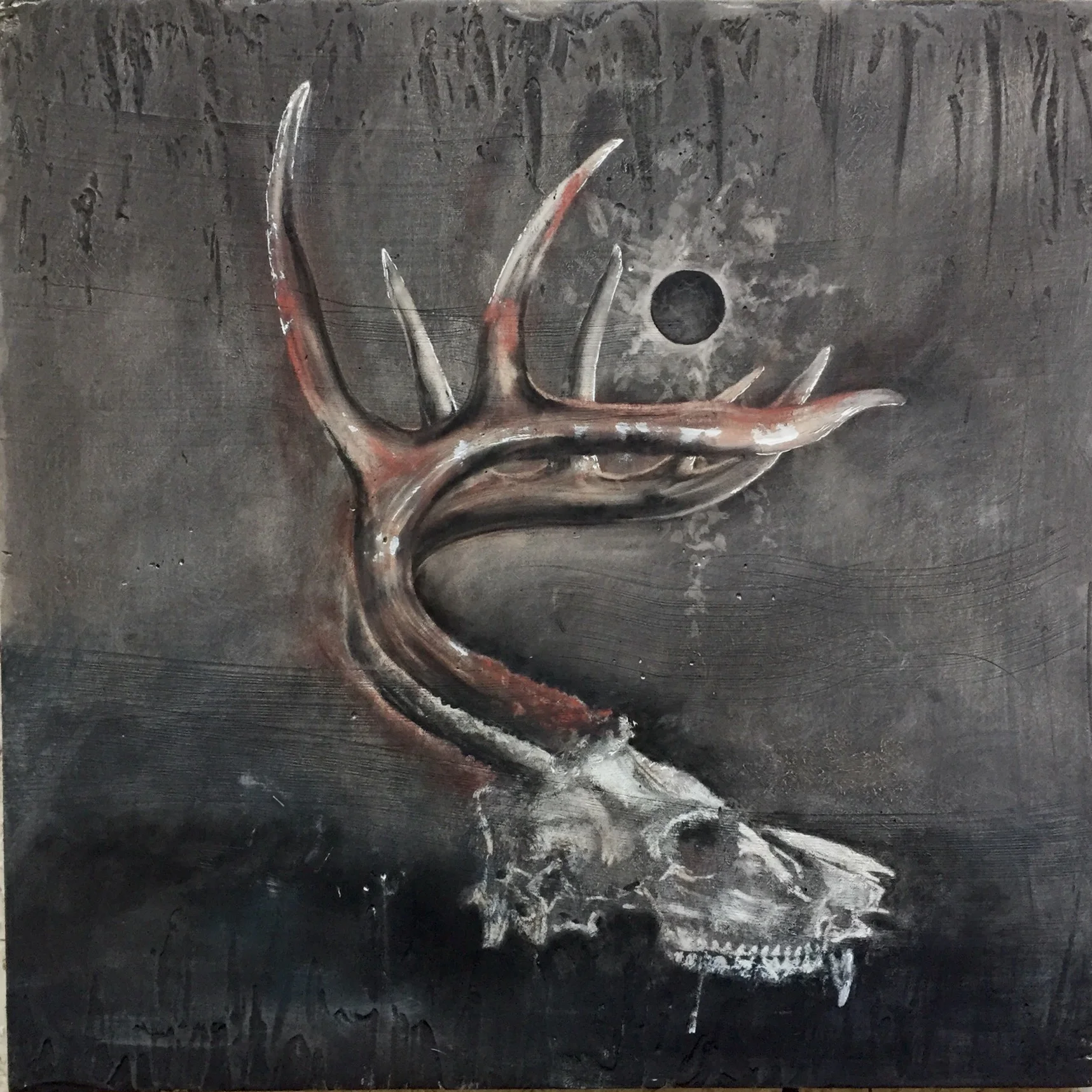 Eclipse Myth 25: Carnivourous Herbivores