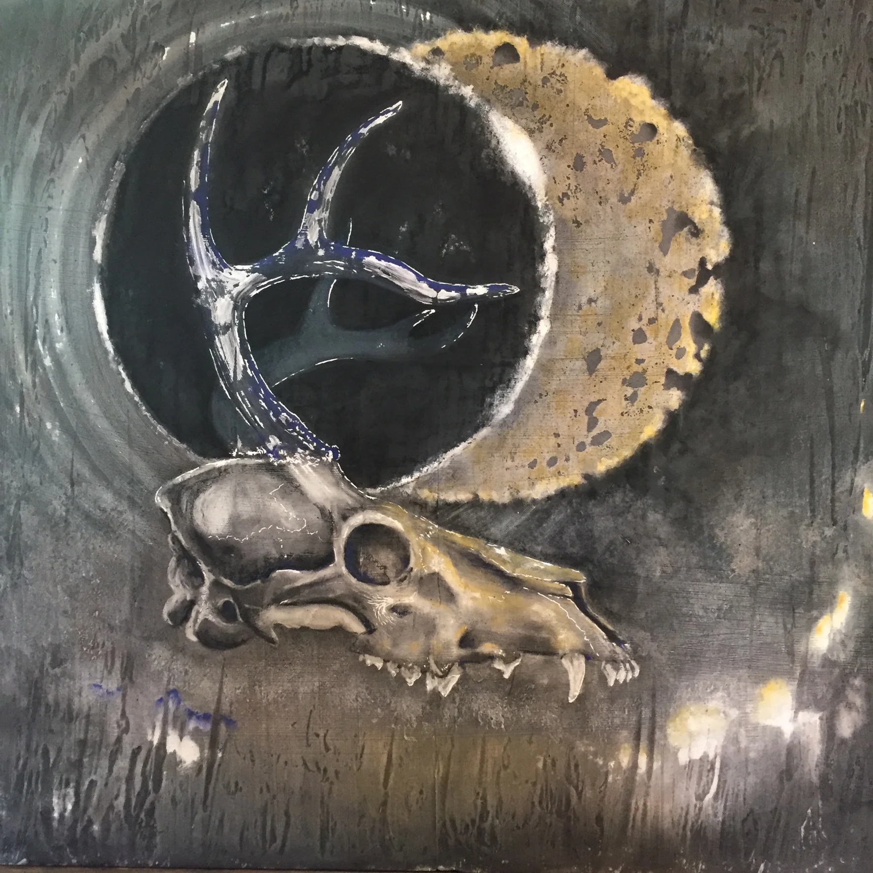 Eclipse Myth 23: Herbivourous Carnivores